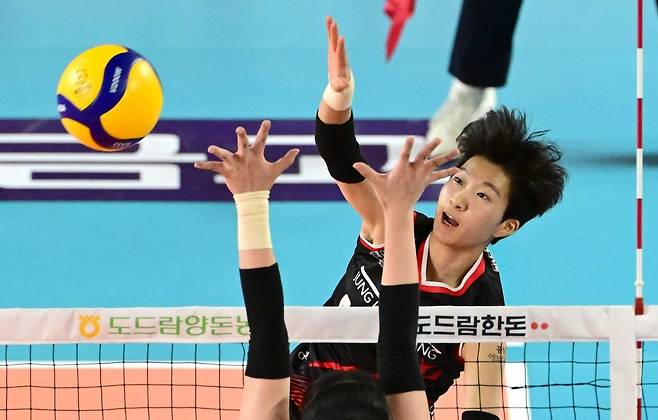 정관장 김세인. 사진제공 | KOVO