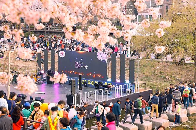 우이천 벚꽃길을 걷고 있는 도봉구민들. /도봉구