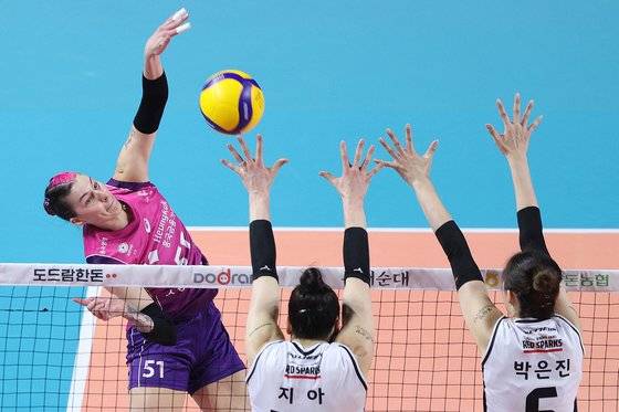 26일 V리그 여자부 플레이오프 3차전에서 공격하는 흥국생명 윌로우.. 뉴스1