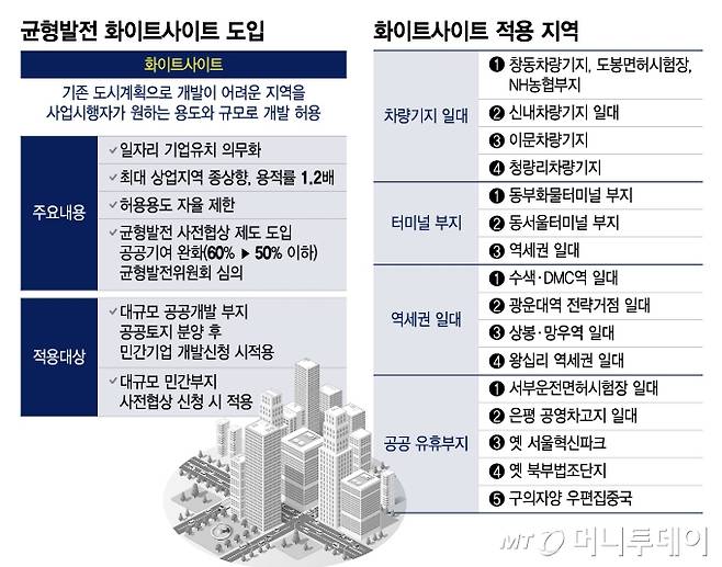 균형발전 화이트사이트 도입/그래픽=이지혜