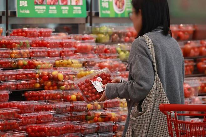 서울 시내 한 대형마트에서 방울토마토를 구매하는 시민. 사진제공=연합뉴스