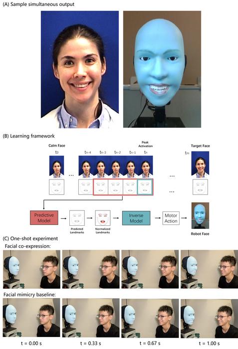 사람의 표정을 예측하고 동시에 미소를 지을 수 있는 얼굴 로봇. Yuhang Hu 제공