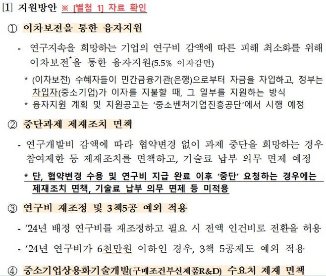 중소벤처기업부가 R&D 예산 삭감과 관련해 제시한 지원방안. 중소벤처기업부 제공