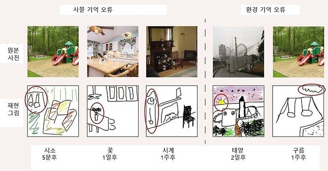 실험 참가자들은 자신이 본 이미지에 없는 물체를 그리기도 했다. 특히 시간이 얼마간 흐른 뒤에는 더욱 그랬다. 연구진 제공(Emma Megla 등)
