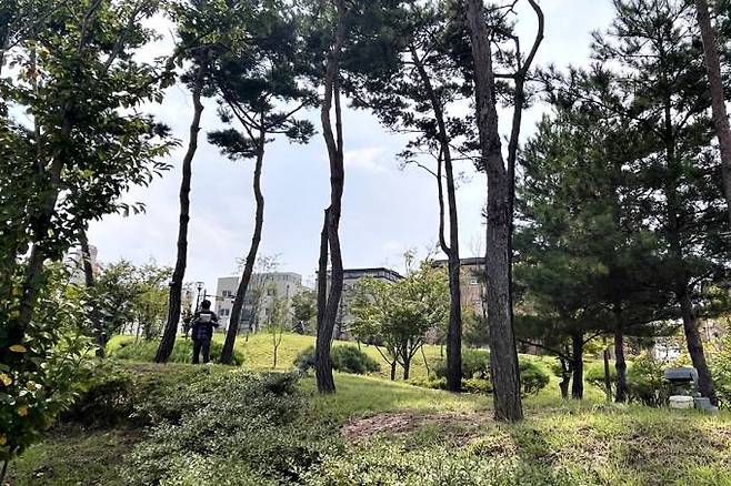 지난해 충남 태안에서 도시숲 조성에 대한 자료를 조사 중인 국립세종수목원 연구원. 한국수목원정원관리원