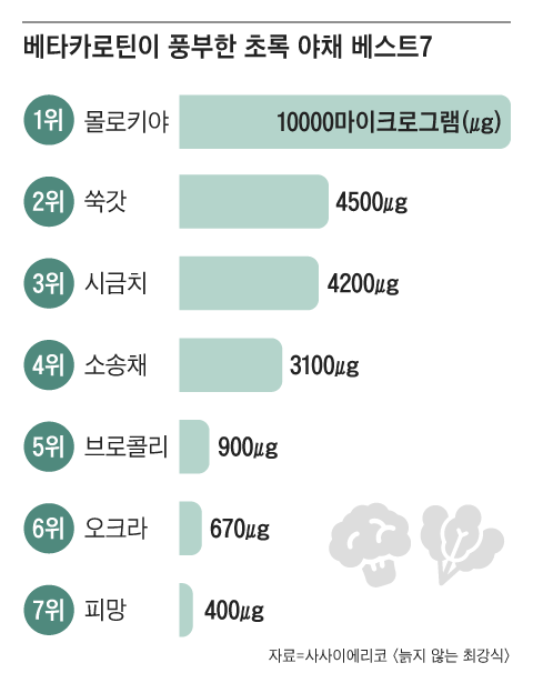 그래픽=조선디자인랩 한유진