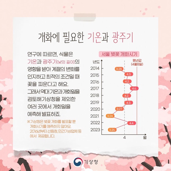 서울 벚꽃 개화일 변화. 자료 : 기상청