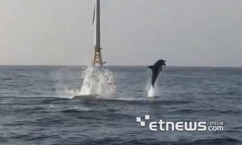 탐라해상풍력단지 에 설치된 풍력발전기 앞으로 돌고래가 뛰어 오르는 모습. 남동발전 제공