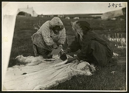 순록 가죽을 손질하는 이누이트 여성들. 출처 덴마크국립박물관