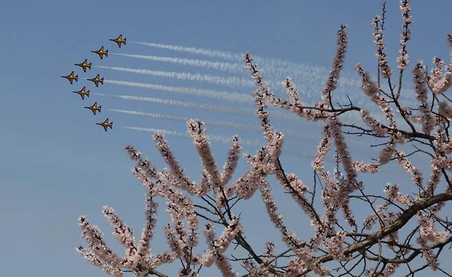 서울 대표 벚꽃축제인 여의도봄꽃축제가 지난 29일부터 이달 2일까지 진행 중인 가운데 공군 특수비행팀 블랙이글스가 31일 여의도 상공에서 축하 비행을 하고 있다. 민간기상업체 케이웨더에 따르면 벚꽃은 이번주 후반에 만발할 것으로 전망된다. 한주형 기자