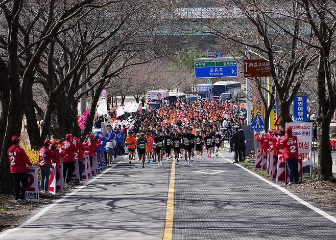 영천시 벚꽃 100리 마라톤대회 경기 모습