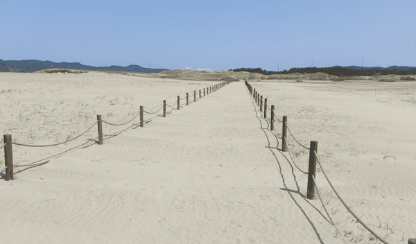 사진=온라인 커뮤니티