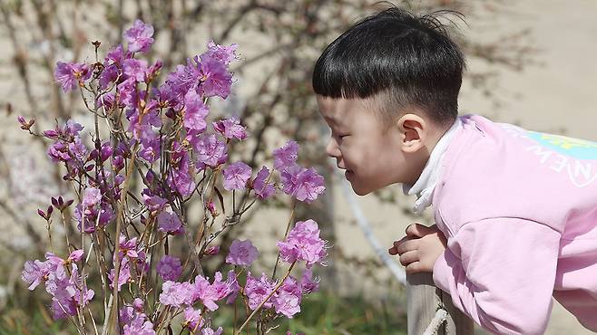 자료사진 제공: 연합뉴스