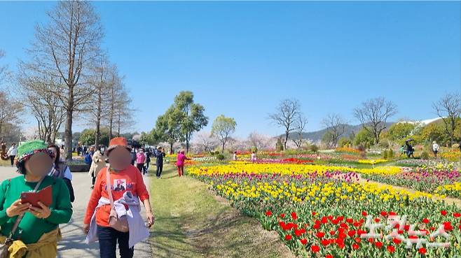 1일 재개장한 순천만국가정원을 찾은 관람객들이 꽃 구경을 하고 있다. 박사라 기자