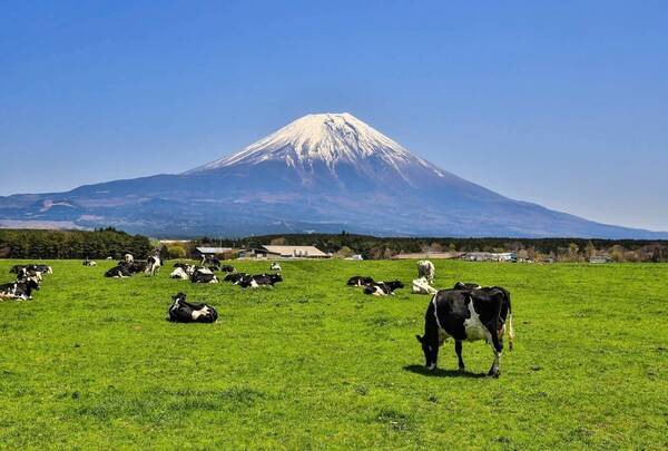 일본 소도시 여행 추천 / 온라인 커뮤니티