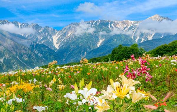 일본 소도시 여행 추천 / 온라인 커뮤니티