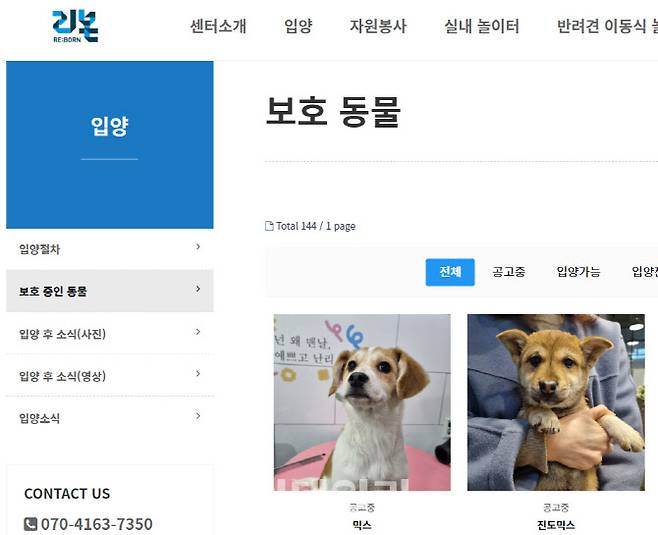 서울 강동구 지자체가 운영하는 유기동물보호소인 ‘리본센터’ 홈페이지 모습