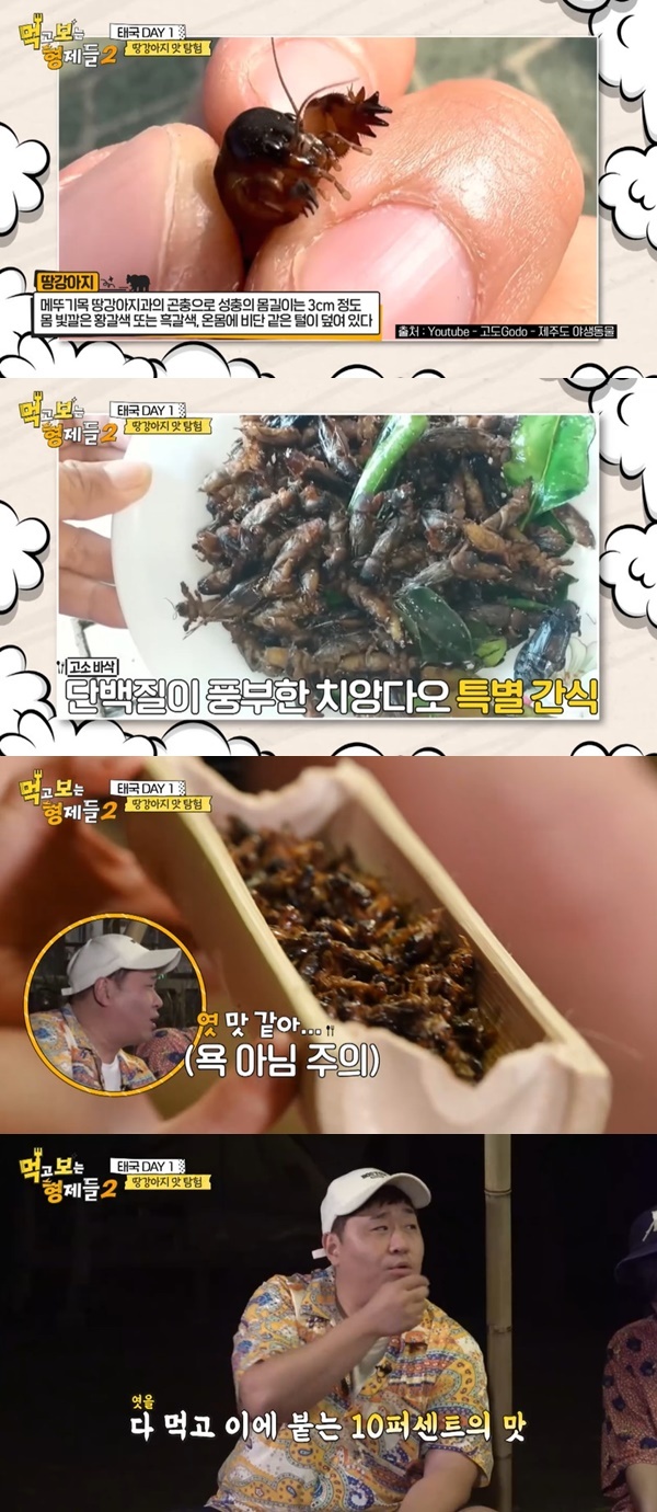 E채널 SBS Plus ‘먹고 보는 형제들 시즌2’ 캡처