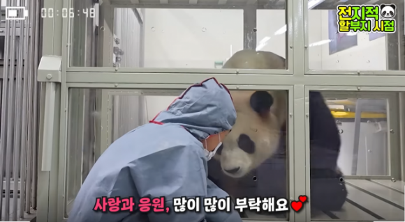 강철원 사육사와 푸바오. 유튜브 채널 말하는 동물원뿌빠TV 캡처