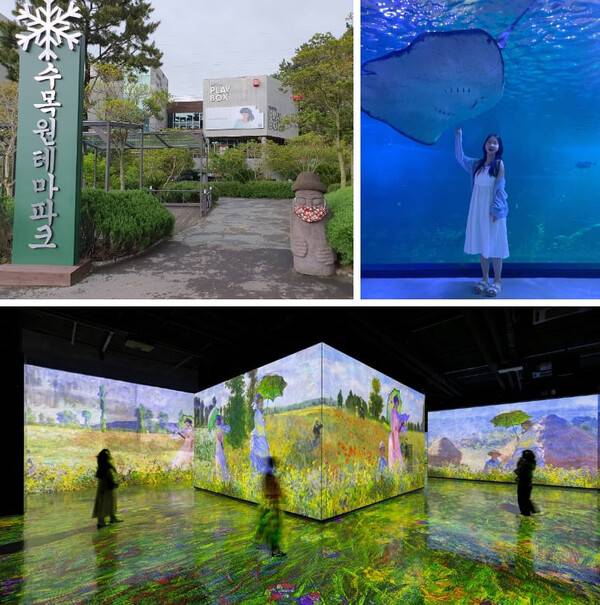 제주도 여행 꿀팁 5가지 /&nbsp;@soyeonilkook