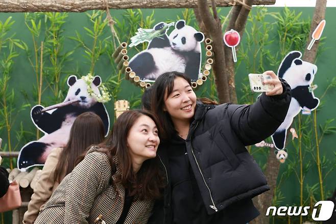 에버랜드는 서울 여의도 더현대 서울에서 진행한 '푸바오 팝업 스토어'가 높은 관심 속에 마무리됐다고 23일 밝혔다. 판다 관련 굿즈 11만여개, 매출 10억원을 돌파하는 등 큰 인기를 끌었다. (에버랜드 제공) 2023.11.23/뉴스1