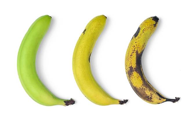 껍질이 초록색인 바나나는 저항성 전분 함량이 높아 다이어트할 때 먹기 좋다./사진=게티이미지뱅크