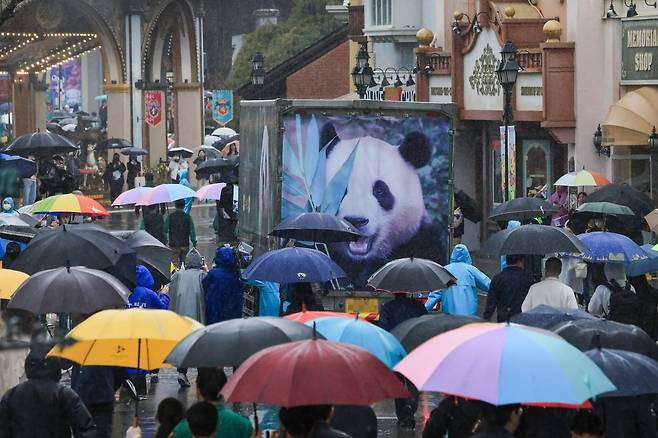 3일 에버랜드 푸바오가 중국 쓰찬성의 워룽 선수핑 기지로 출발하는 날 비가 내리는 궂은 날씨에도 1000여 명의 푸바오 팬들이 배웅길에 동참해 푸바오의 건강과 행복을 기원했다.에버랜드 제공
