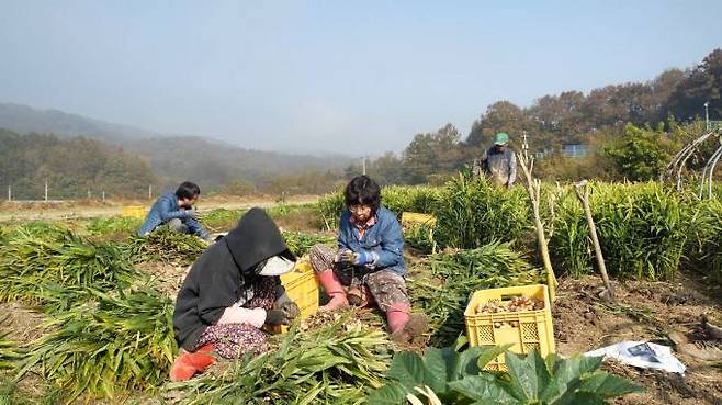 ‘바로, 지금, 여기’ 스틸컷. 영화사 공생공락