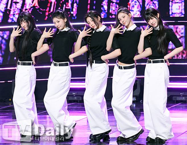 티브이데일리 포토