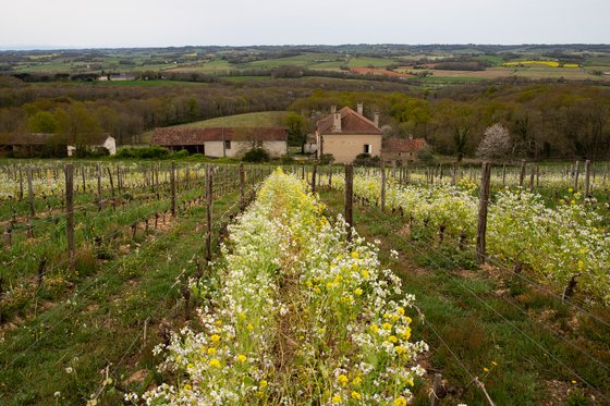 루르드 인근에는 프랑스를 대표하는 와이너리도 있다. 중세 고성과 그 주변 땅을 활용해 세계 최고 품질 와인을 만드는 '몽투스·부스카세' 와이너리가 대표적이다.