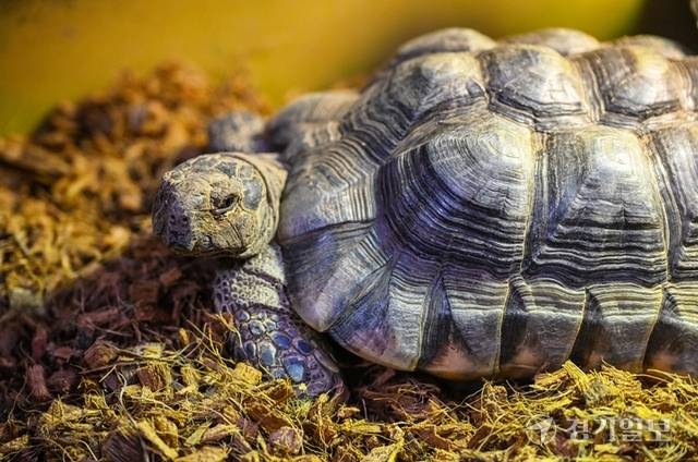 부천자연생태공원. 윤원규기자