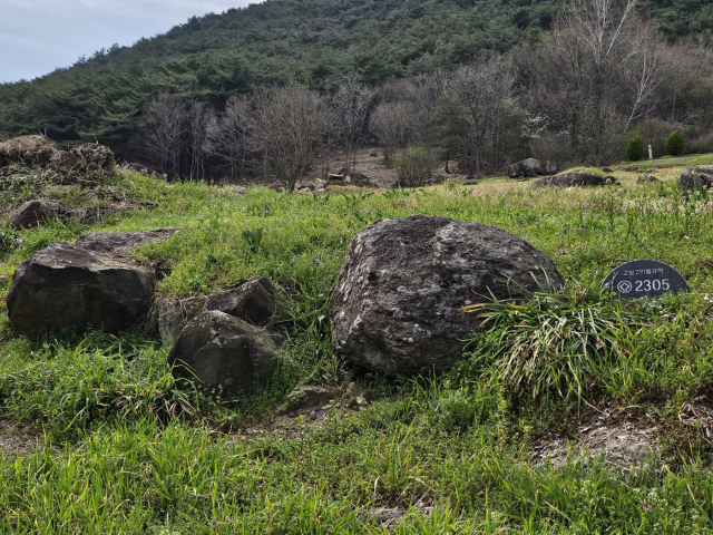 전북 고창 고인돌유적지에 2일 고인돌이 놓여있다. 유네스코 세계문화유산으로 등재된 고인돌은 고유 번호를 부여받는다. 고창=박신원 기자