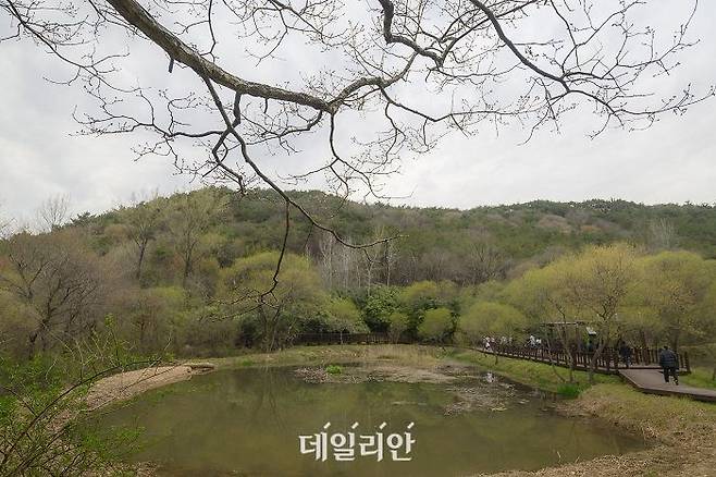 운곡습지 모습. ⓒ데일리안 배군득 기자.