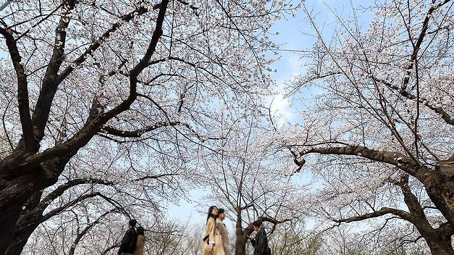 [자료사진: 연합뉴스]