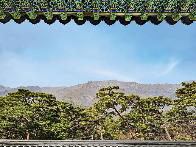 자장암에서 본 영축산[사진/백승렬 기자]
