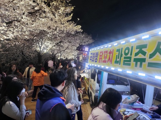 벚꽃이 만개한 영주 원당천 일대에는 볼거리와 먹거리로 가득해 많은 사람들의 발걸음이 이어지고 있다(사진=김성권 기자)