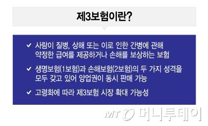 제3보험이란/그래픽=이지혜