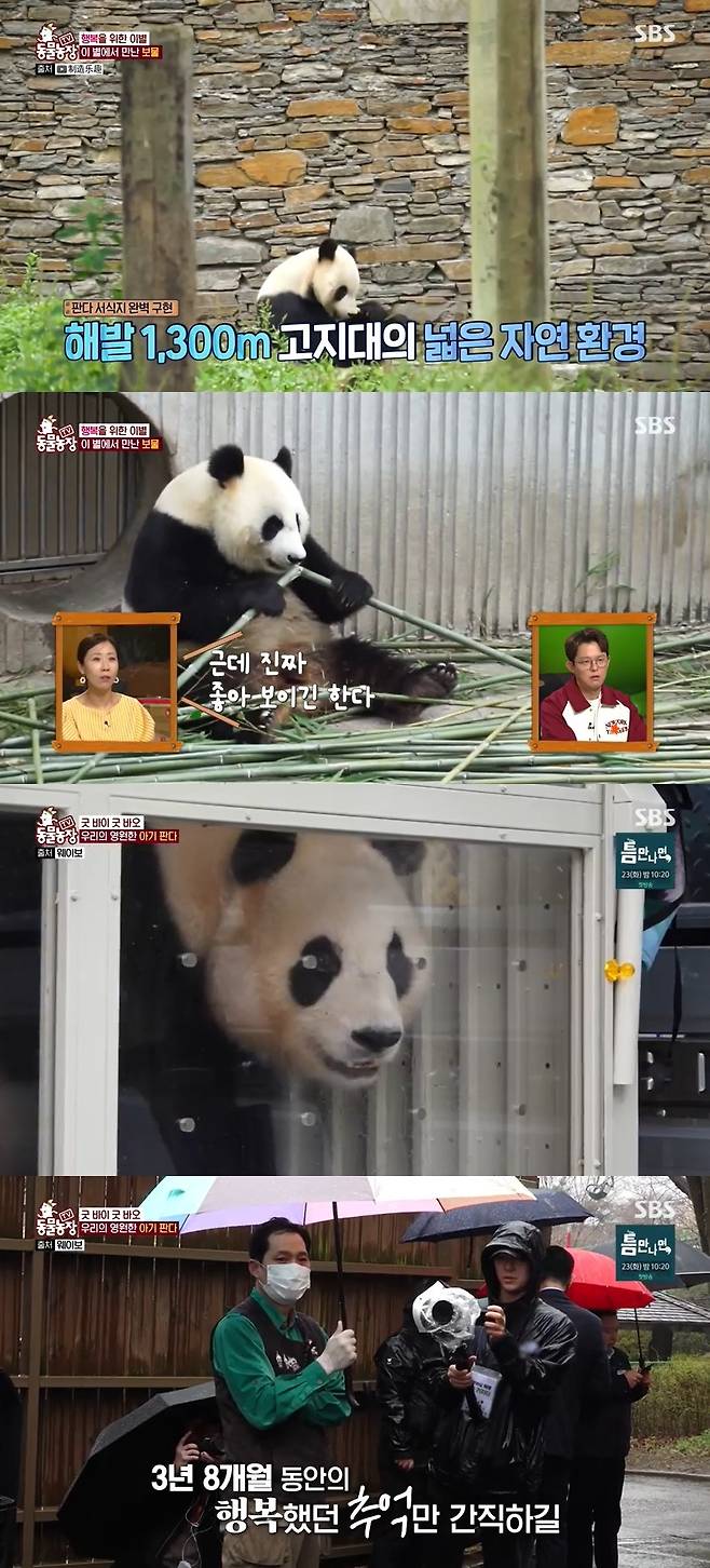 SBS ‘TV 동물농장’ 캡처