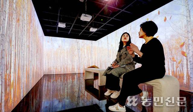 미디어아트실에선 빔프로젝터를 통해 인제 자작나무 숲이 방 안 가득 펼쳐진다. 인제=백승철 프리랜서 사진기자