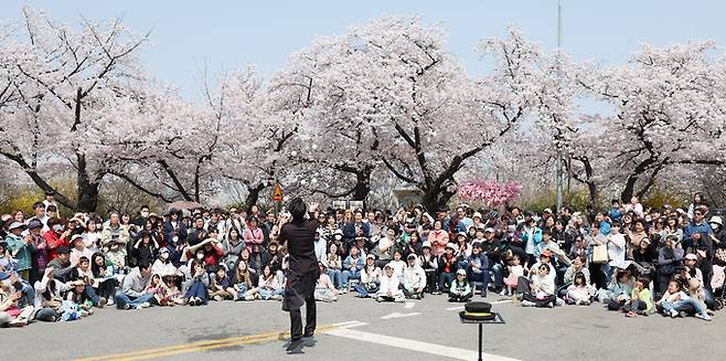 포근한 날씨를 보인 7일 오후 벚꽃이 활짝 핀 서울 여의도 윤중로에서 시민들이 봄을 즐기고 있다.   연합뉴스
