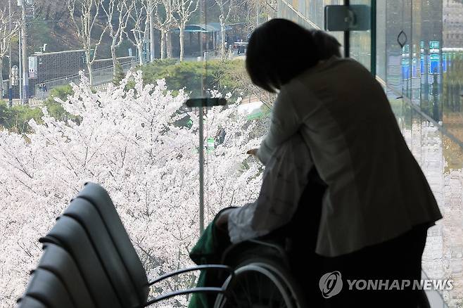 병원에도 봄이 올까요 [연합뉴스 자료 사진]