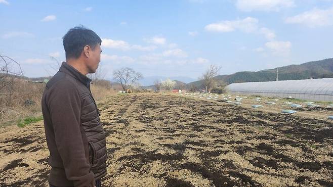 5일 강원도 춘천시 서면의 감자밭에서 만난 김덕수씨가 아직 씨감자를 심지 못한 감자밭을 바라보고 있다. 옥기원 기자