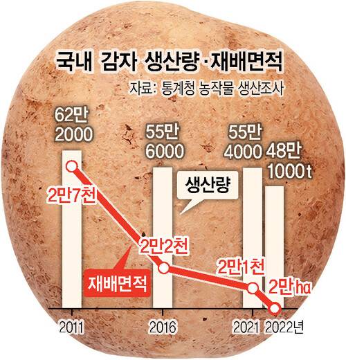 한겨레 그래픽