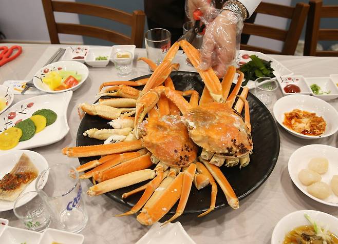 '크랩킹 축제'에 선보일 동해 북태평양 대게