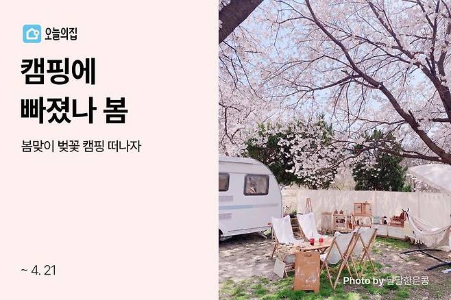 [서울=뉴시스] 오늘의집, 캠핑·피크닉용품 특가전 '캠핑에 빠졌나 봄' 진행. (사진=오늘의집 제공) 2024.04.08. photo@newsis.com *재판매 및 DB 금지