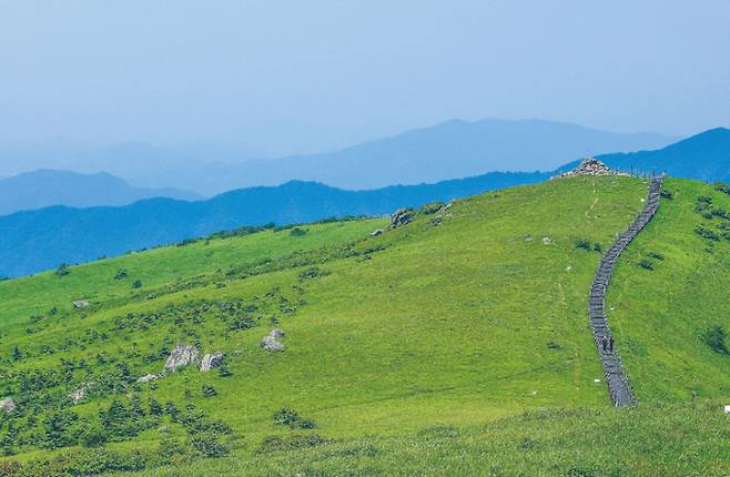 우리나라 100대 명산으로 선정된 소백산. 산림청