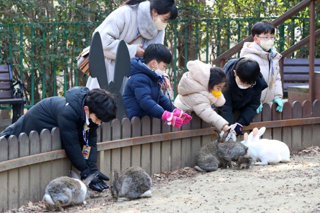 2022년 대구의 한 동물원 내 동물농장에서 어린이들이 토끼 먹이주기 체험을 하고 있는 모습. 대구=뉴스1