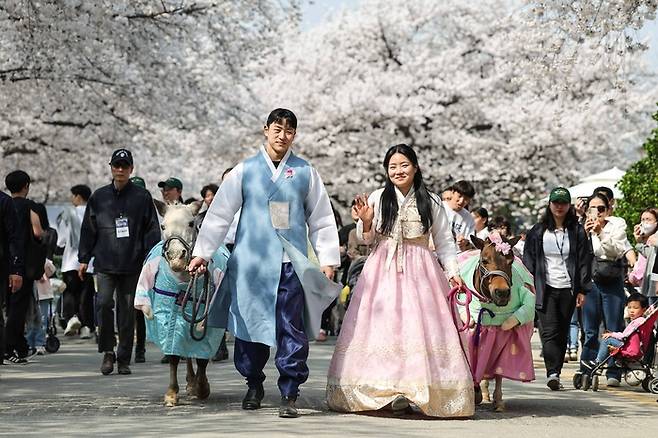 렛츠런파크 서울 벚꽃축제