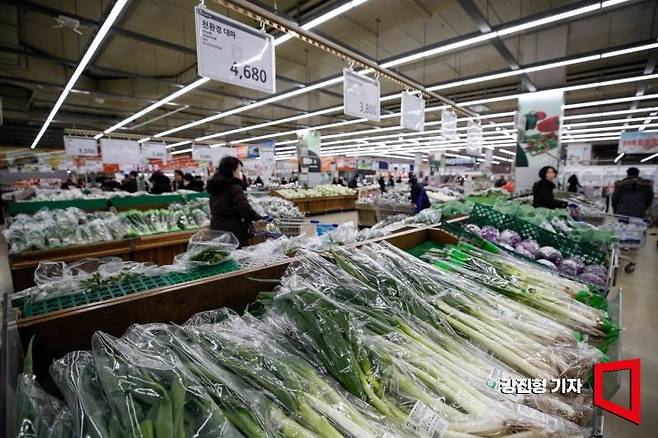 서울 한 마트에 진열된 대파 자료사진. 기사 내용과는 무관. 사진=강진형 기자aymsdream@