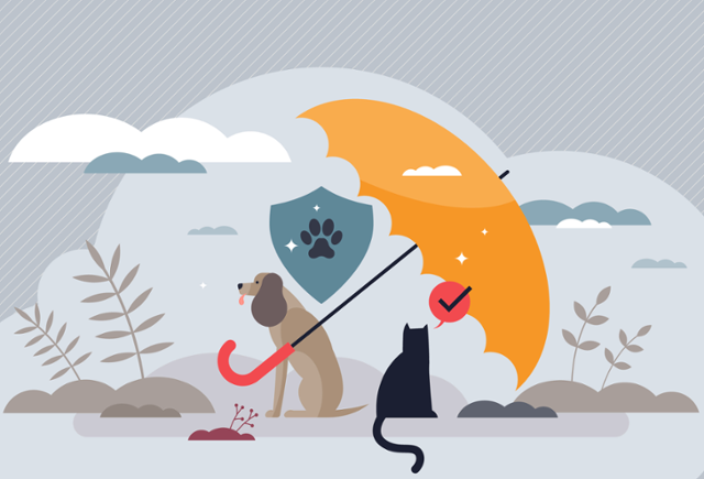 ⓒ게티이미지뱅크